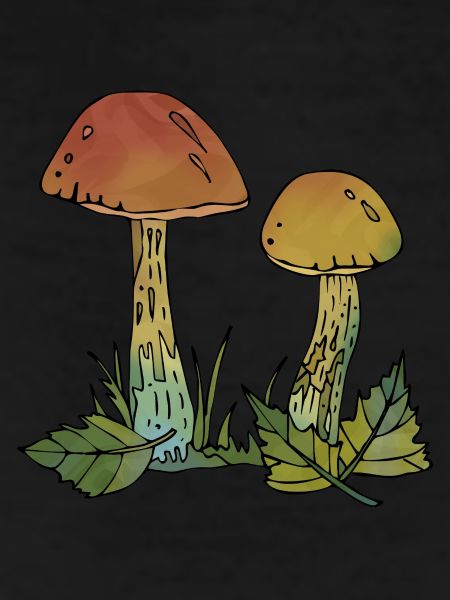 Fungi