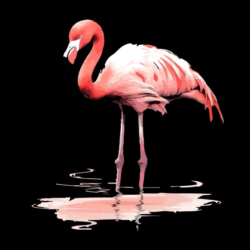 Zig le flamant rose