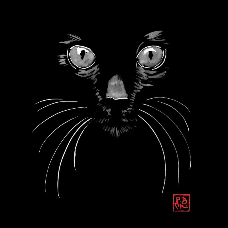 black cat in black