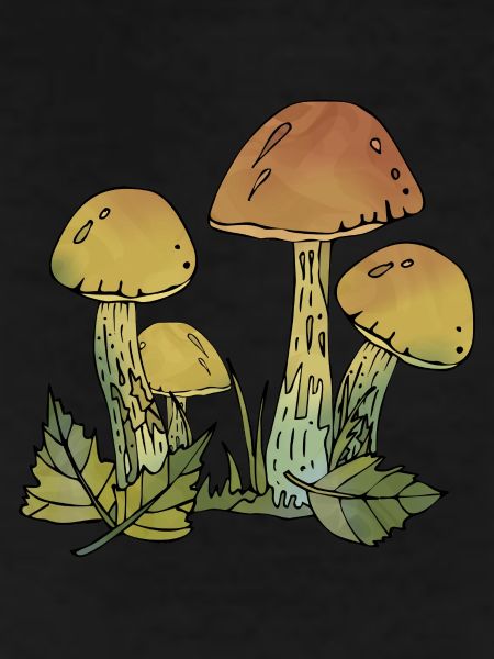 Fungi