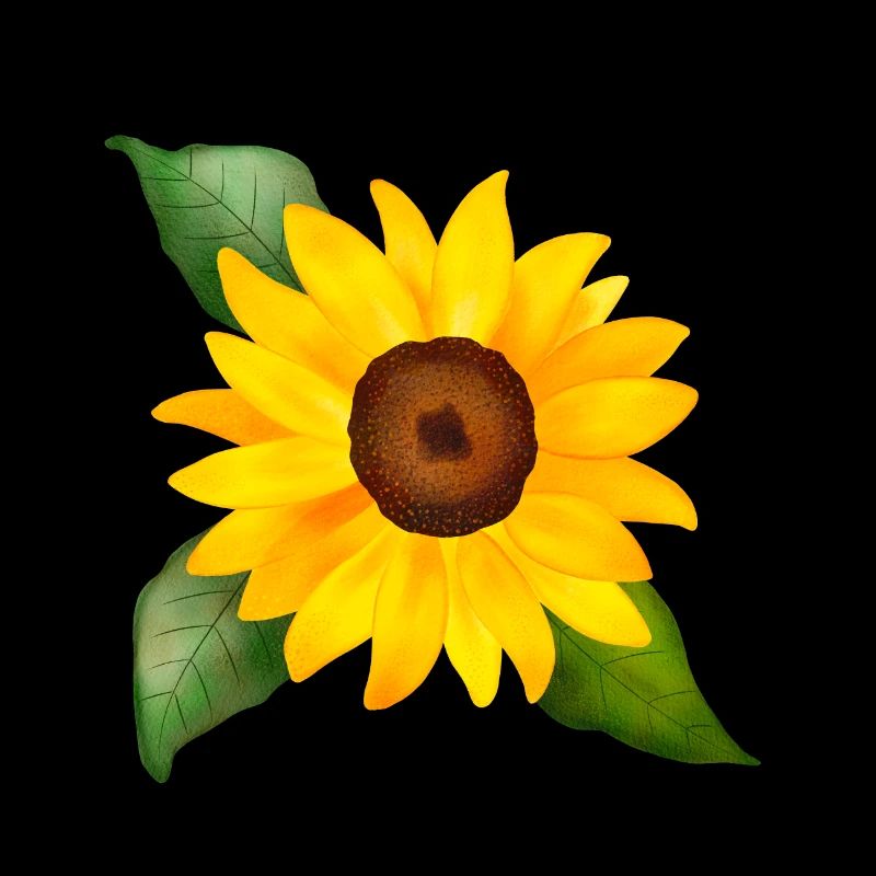 Joyeuse aquarelle de tournesol peinte à la main