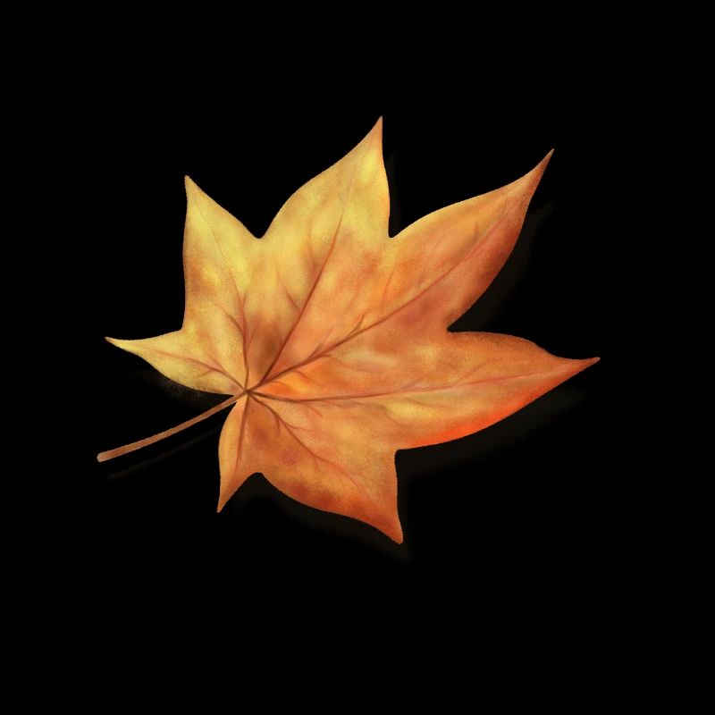 Autumn leaf