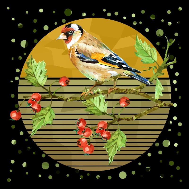 Oiseau coloré