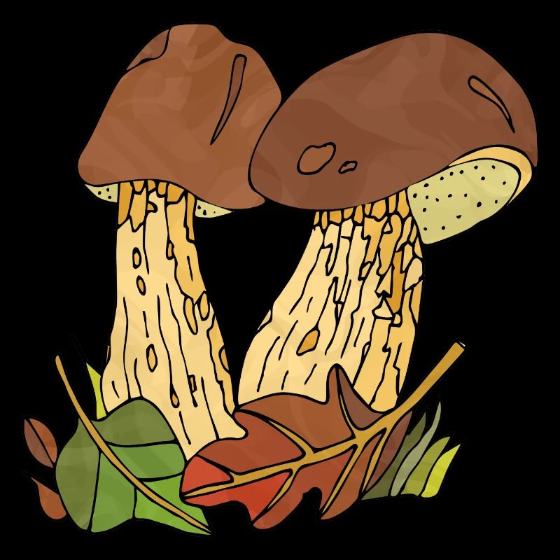 Fungi