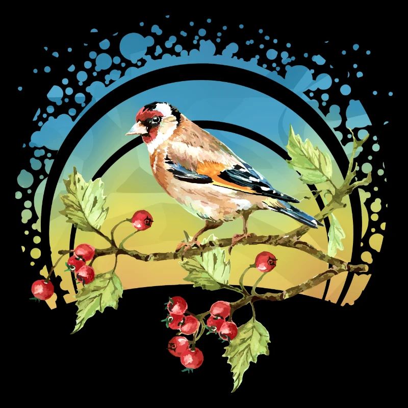 Oiseau coloré