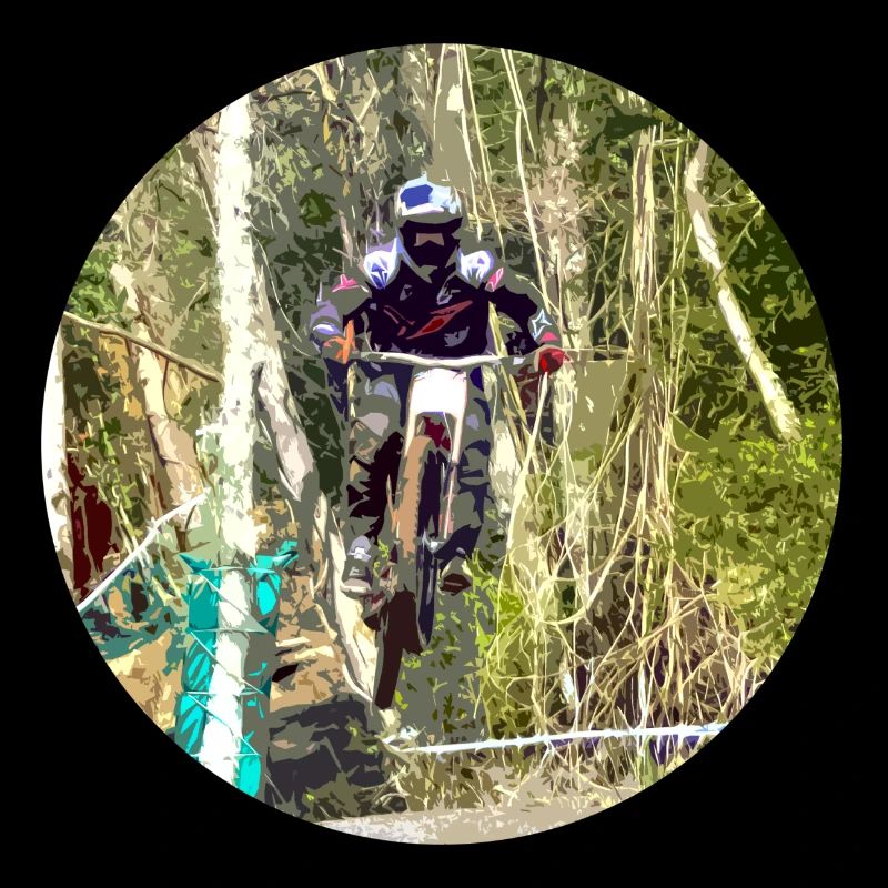 vtt mtb downhill
