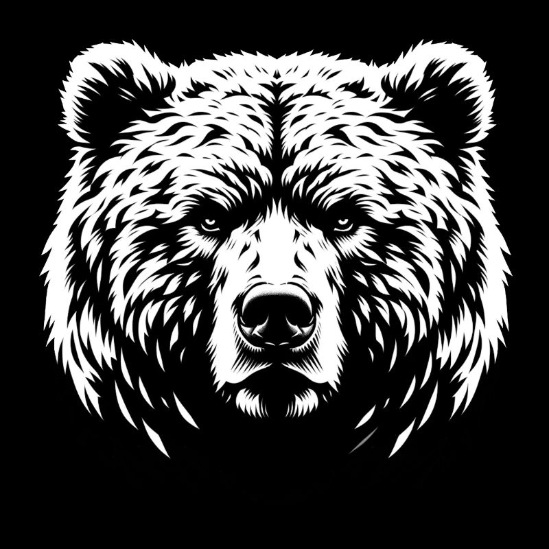 Mächtiger Bär | Powerful bear