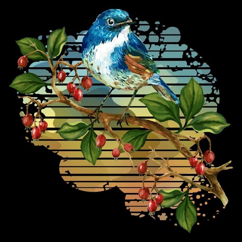 Oiseau coloré