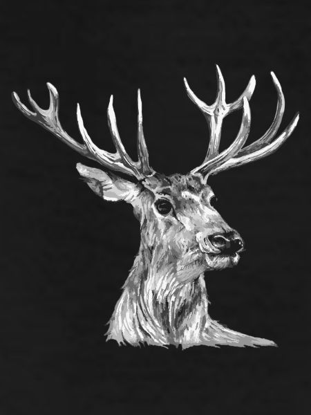 Cerf