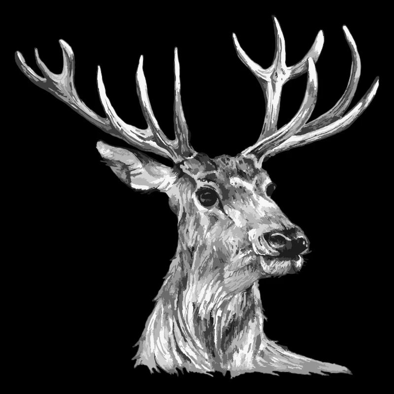 Cerf