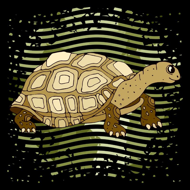 Tortoise