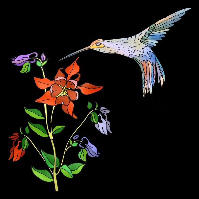Oiseau coloré