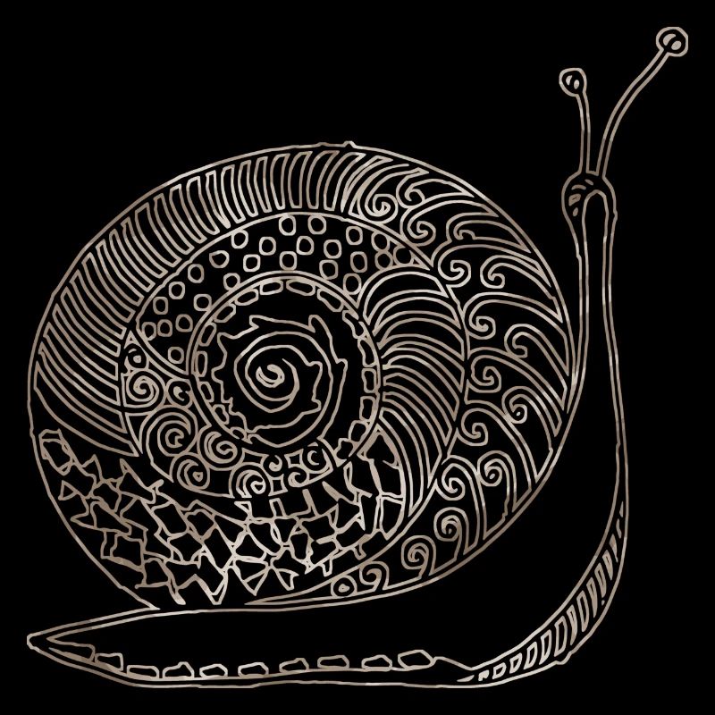 Schnecke