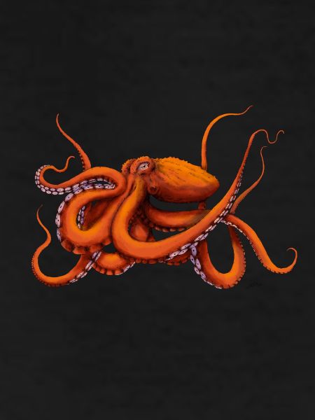 GIANT PACIFIC OCTOPUS
