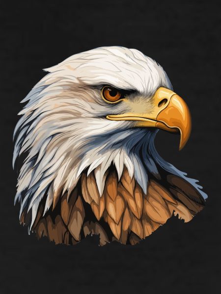 White-tailed Eagle Head