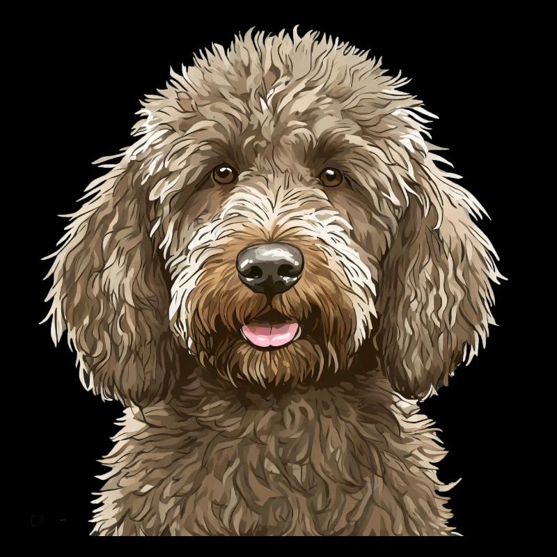 Labradoodle Hund