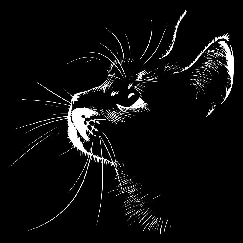 Katze, Katzenmotiv, Katzengesicht