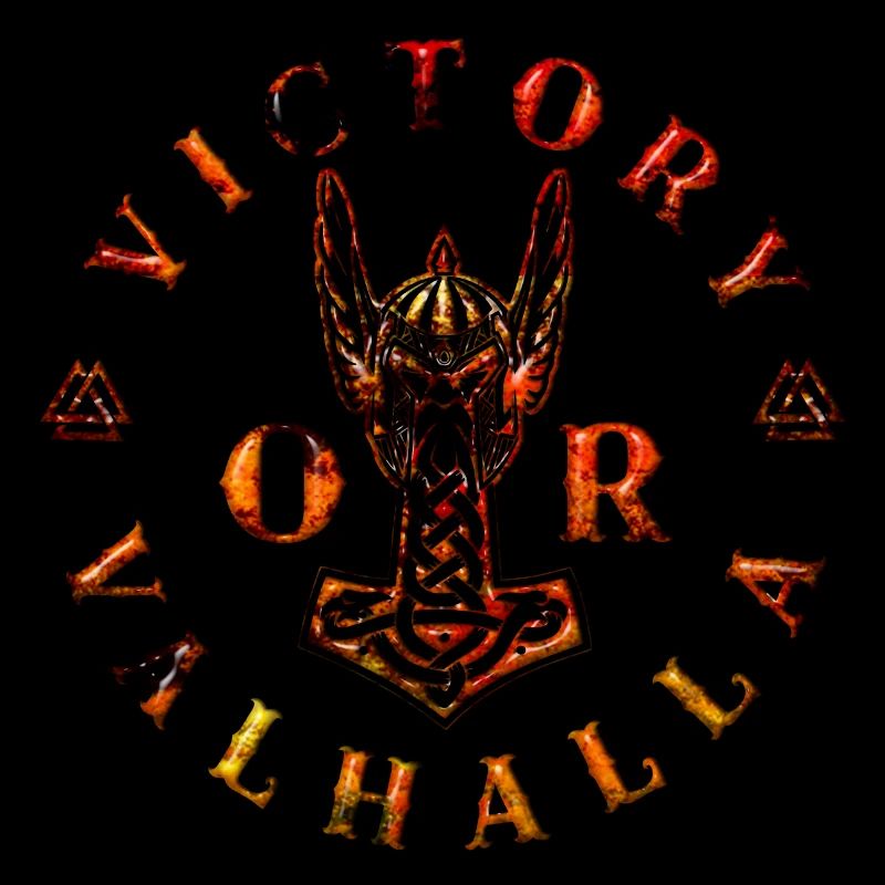 Vikings norden valhalla suède scandinavia flaga