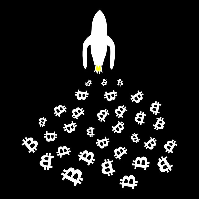 The Bitcoin Moon Rocket
