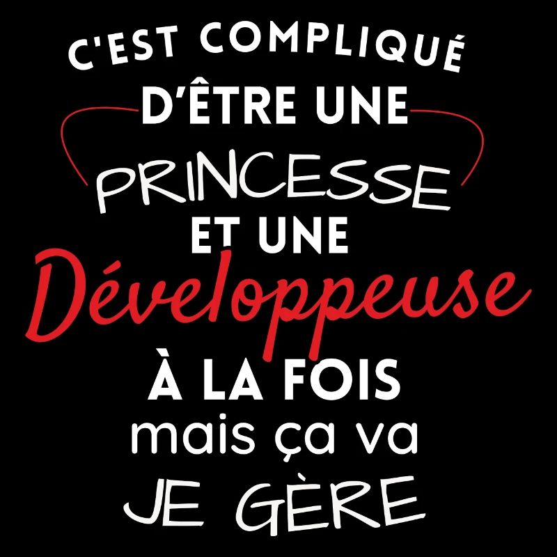 Princess and Developer, I manage!
