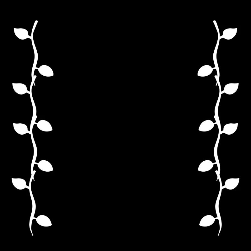 Feuilles Ligne Nature Feuille Branches Forme