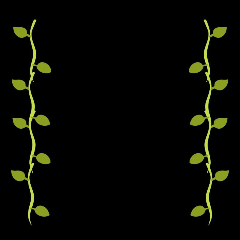 Feuilles Ligne Nature Branches de feuilles