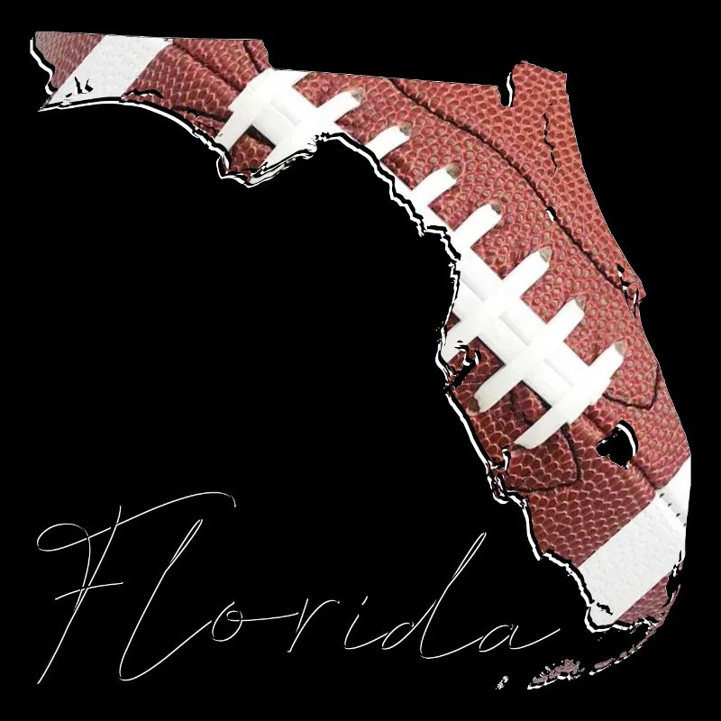 Real Football in Florida State Map FL