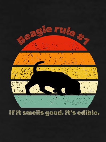 Beagle rétro