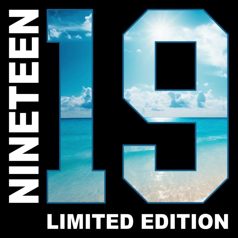 19th Birthday Gift Idea Nineteen