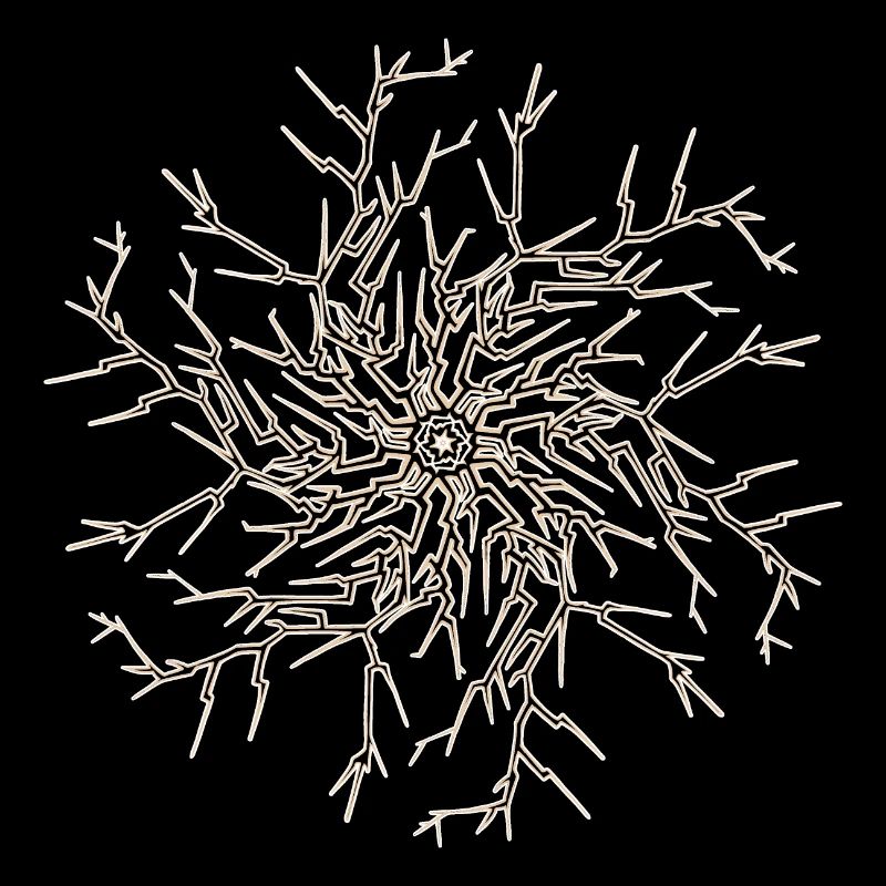 Soleil Arbre