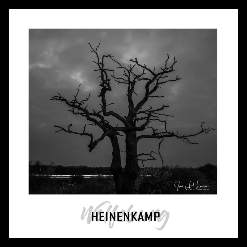 Wolfsburger Baum im Heinenkamp