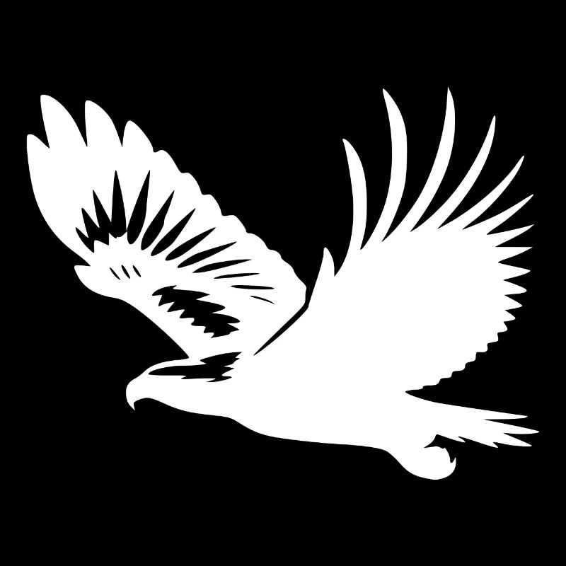 White-tailed eagle on broad wings on the rise