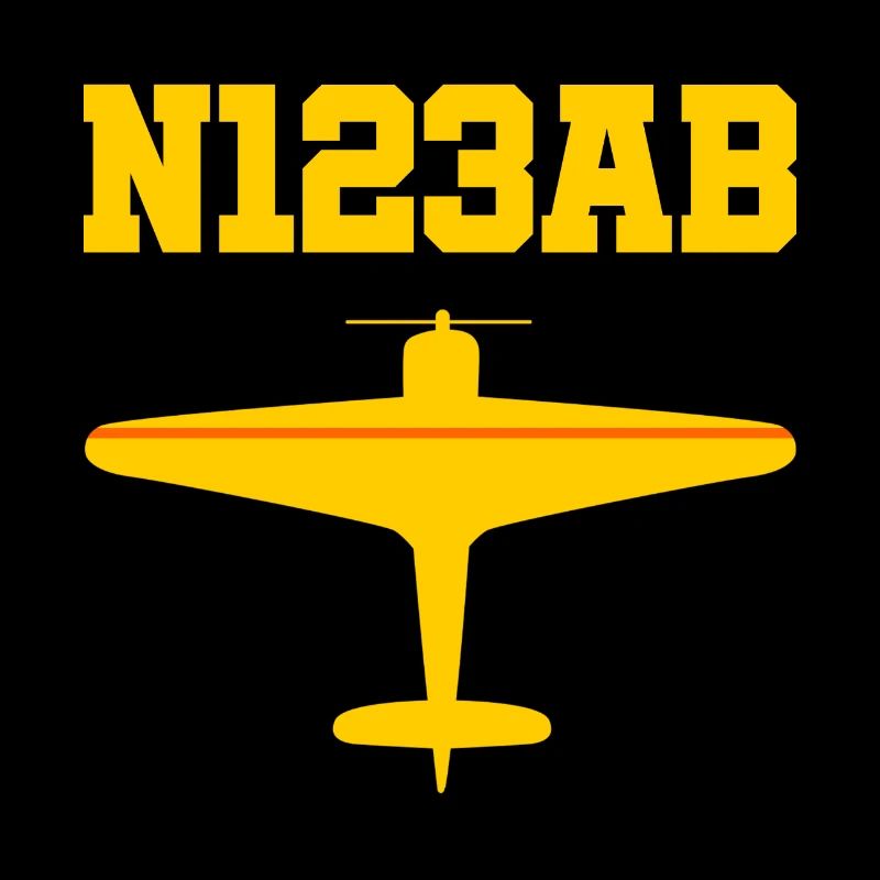 Custom Aviation - Airplane - Flying - Pilot