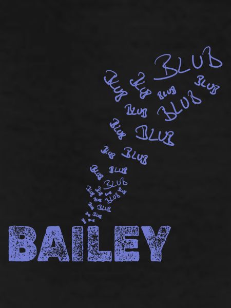 Sailing Bailey