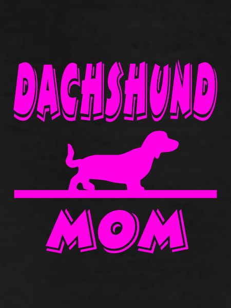 Dachshund