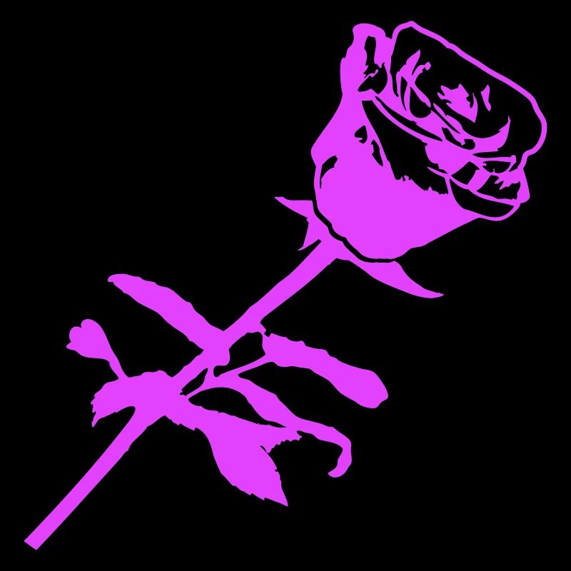 Hübsche Schöne Rose Blüte Blatt Röschen Romantisch