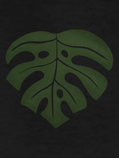 monstera leaf