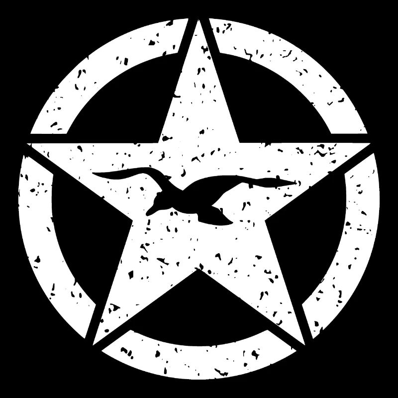 Vintage Stern Möwe Logo