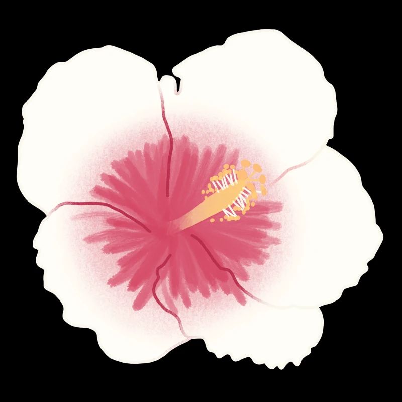 fleur d’hibiscus