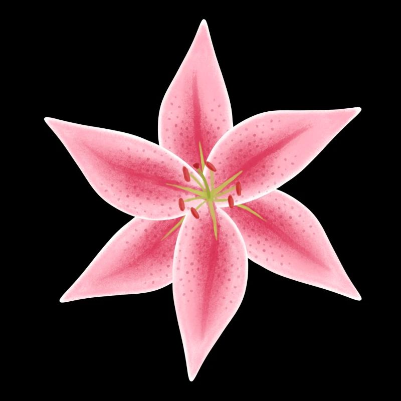 fleur de lys rose et blanche