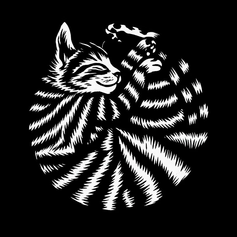 Katze Katze niedlich