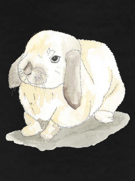 Rabbits