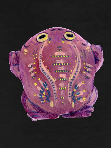 Purple Toad