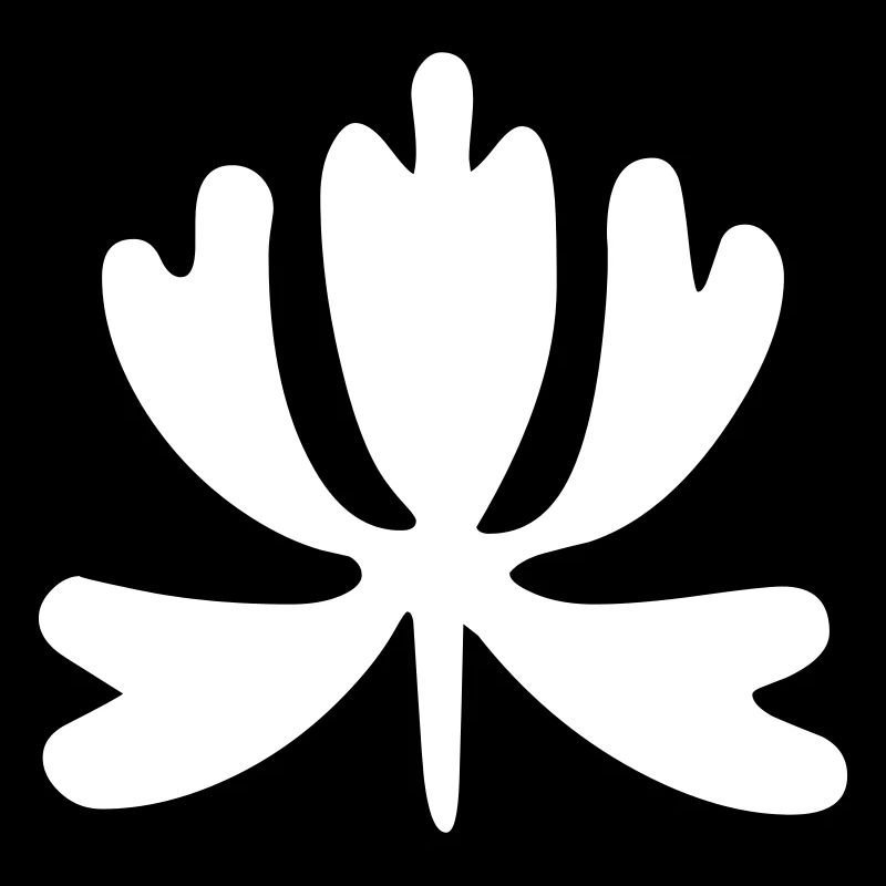Boroni Ornament 1 - Vectorgraphic