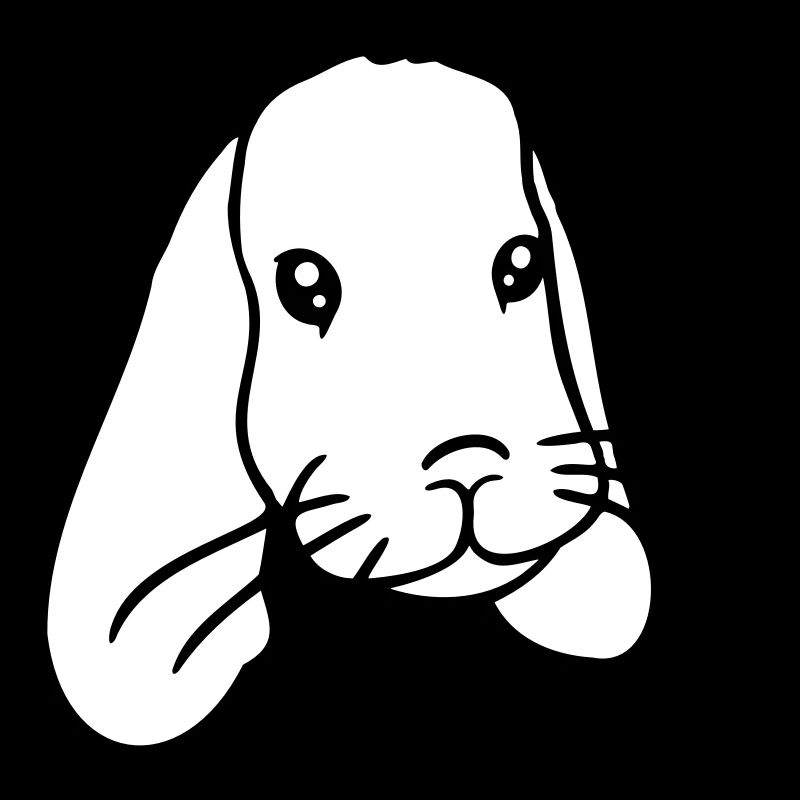 Bunny Rabbit Bunny Rodent Small Animal Cute