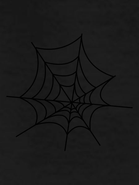 spider
