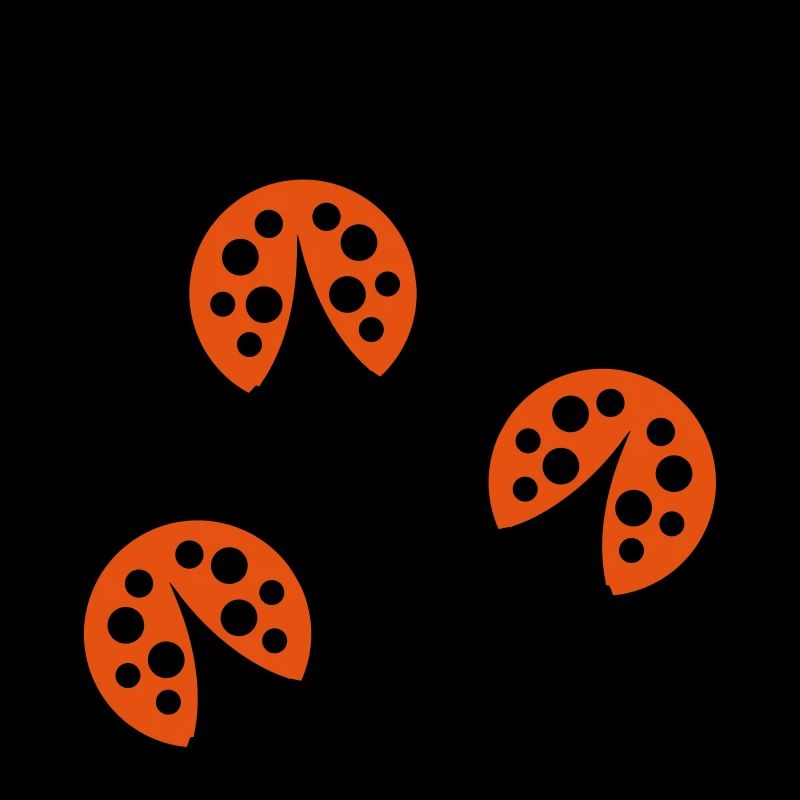 Ladybug