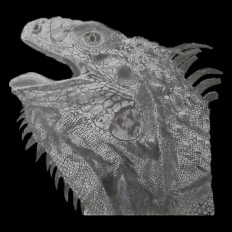 Bearded dragon