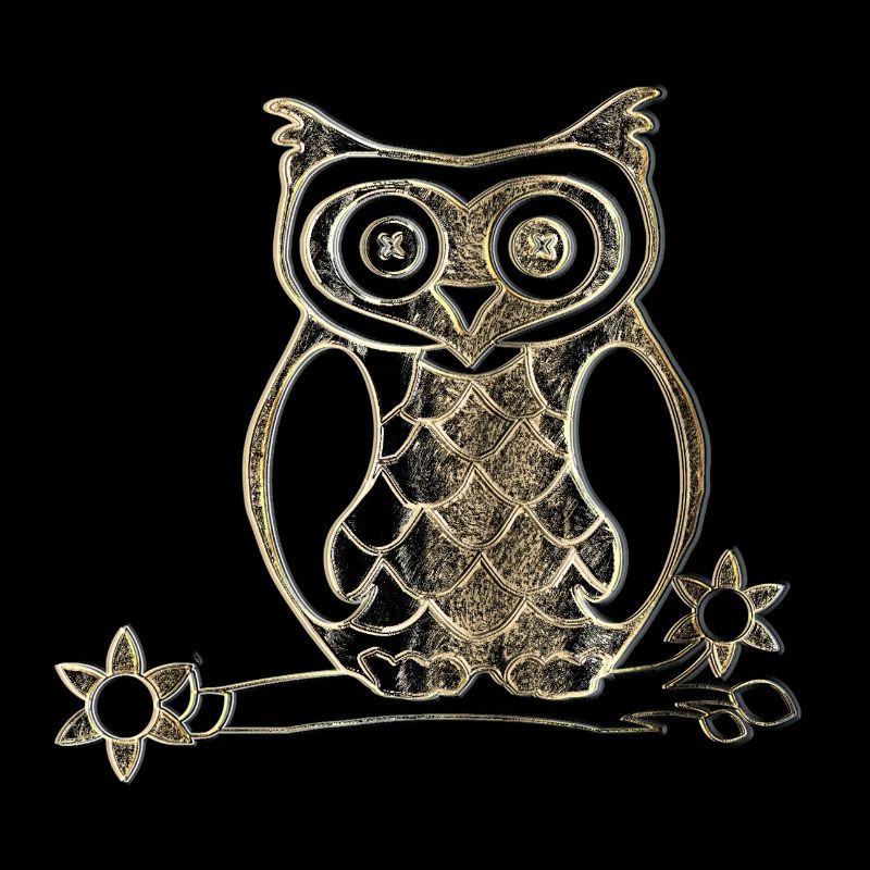 schwarz goldene eule