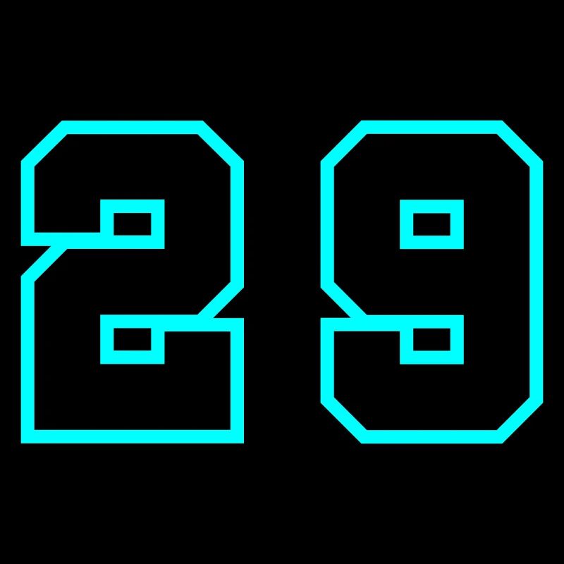 29 Number symbol